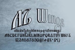 AZ Wings: Infusing Retro Skate Culture into Modern Design